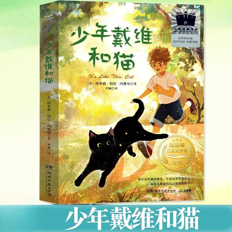 少年戴维和猫 埃米莉·切尼·内维尔著湖南文艺出版社正版小学生三四五六年级课外阅读书籍8-12岁儿童文学故事书青少年