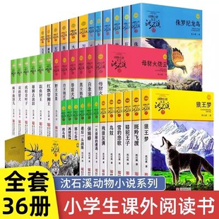 沈石溪动物小说全套36册狼王梦雪豹悲歌鸟奴骆驼王子第七条猎狗巨蜥母亲最后一头战象斑羚飞渡残狼灰满再被狐狸骗一次雄狮去流浪