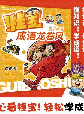 桂宝成语龙卷风全套4册爆笑