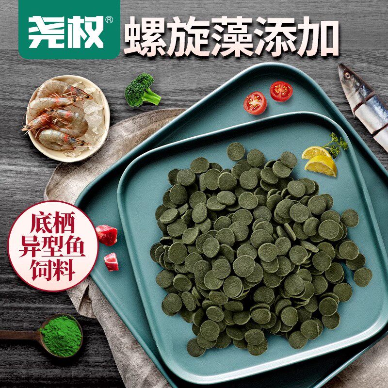 尧权底栖异形鱼饲料鼠鱼清道夫胡子大帆女王异型下沉底观赏鱼粮食