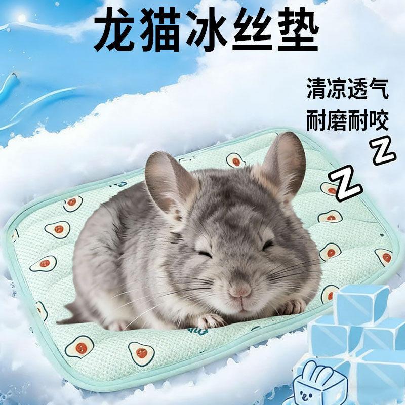 龙猫冰垫专用夏季冰降温板冰窝冰丝散热迷你垫板冰盒冰板冰凉夏日