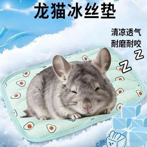 龙猫冰垫专用夏季冰降温板冰窝冰丝散热迷你垫板冰盒冰板冰凉夏日