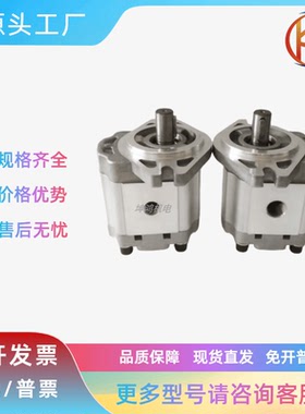 CBW-F系列油泵F304/F306/F310/F314/F316/F320/F325-ALP ALPL CFP