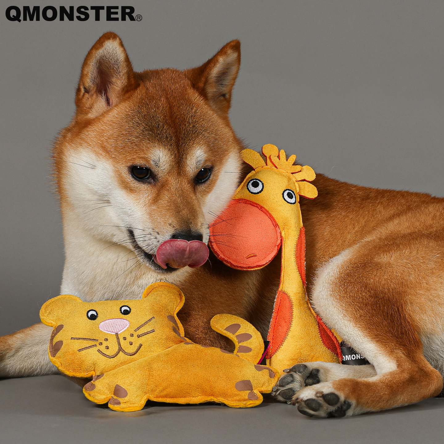 耐咬耐磨发声玩具QMONSTER