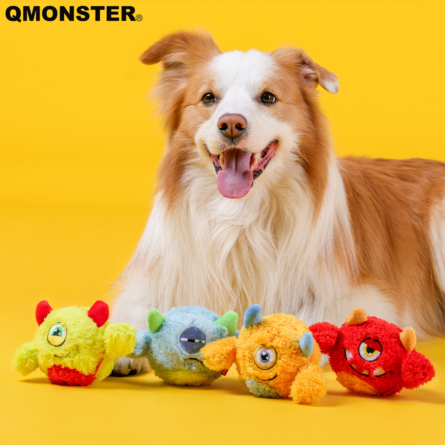 QMONSTER狗狗玩具玩具磨牙弹力球