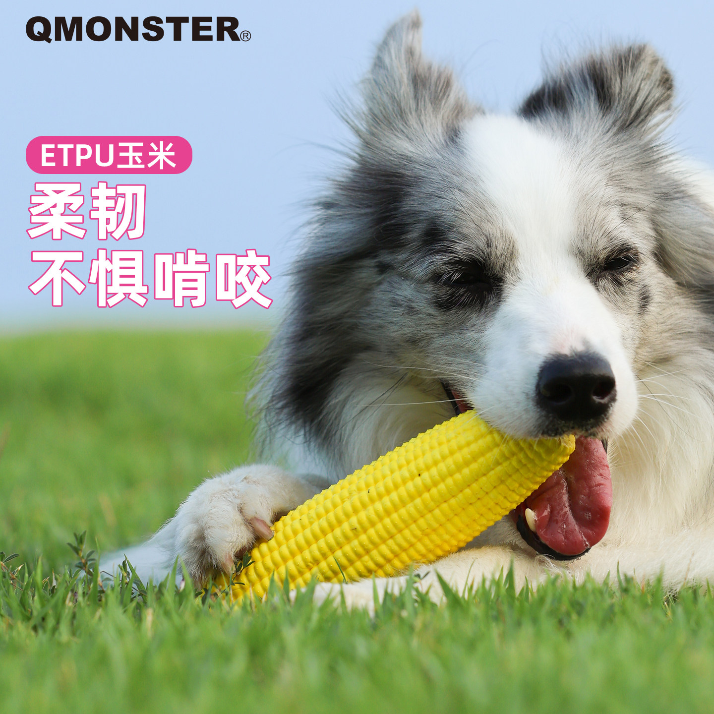 QMONSTER磨牙玉米棒狗狗玩具耐咬宠物自嗨解闷神器中大型犬狗洁齿
