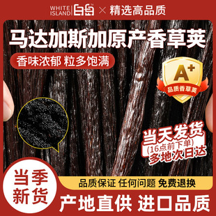 天然香草荚烘焙原产马达加斯加香草豆荚香草籽食用香精蛋糕原料