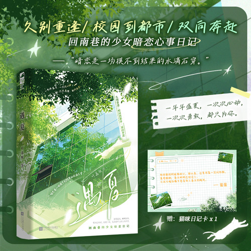 遇夏 叶荔枝/著 飙泪又暖心的漫长暗恋时光 是一场摸不到结果的水滴石穿 校园到都市双向奔赴 畅销青春文学小说实体书籍