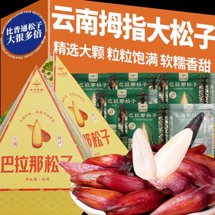 巴拉那松子云南特产拇指大松子原味熟食坚果休闲零食独立装80g/盒