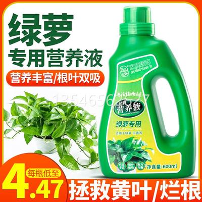 绿萝专用土养水培浓缩营养液植物通用型绿植花卉室内盆栽绿箩肥料