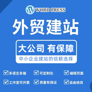 网页设计wp模板shopify自建站seo优化定制网站wordpress二次开发