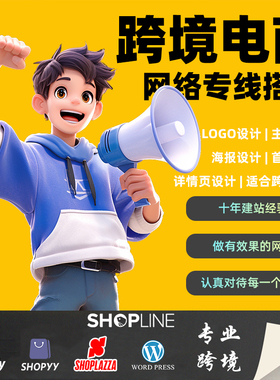 俄罗斯OZON主图产品拍摄独立站WordPress建站首页装修部署SEO优化