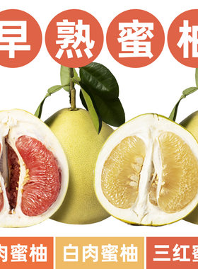 红心红肉蜜柚果树苗品种早熟嫁接