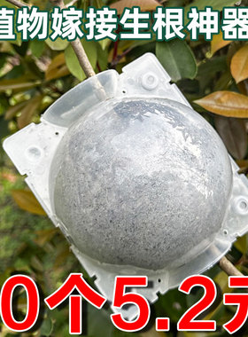 植物嫁接高压盒繁殖插扦塑料球生根包控枝器树木盆景园林通用工具