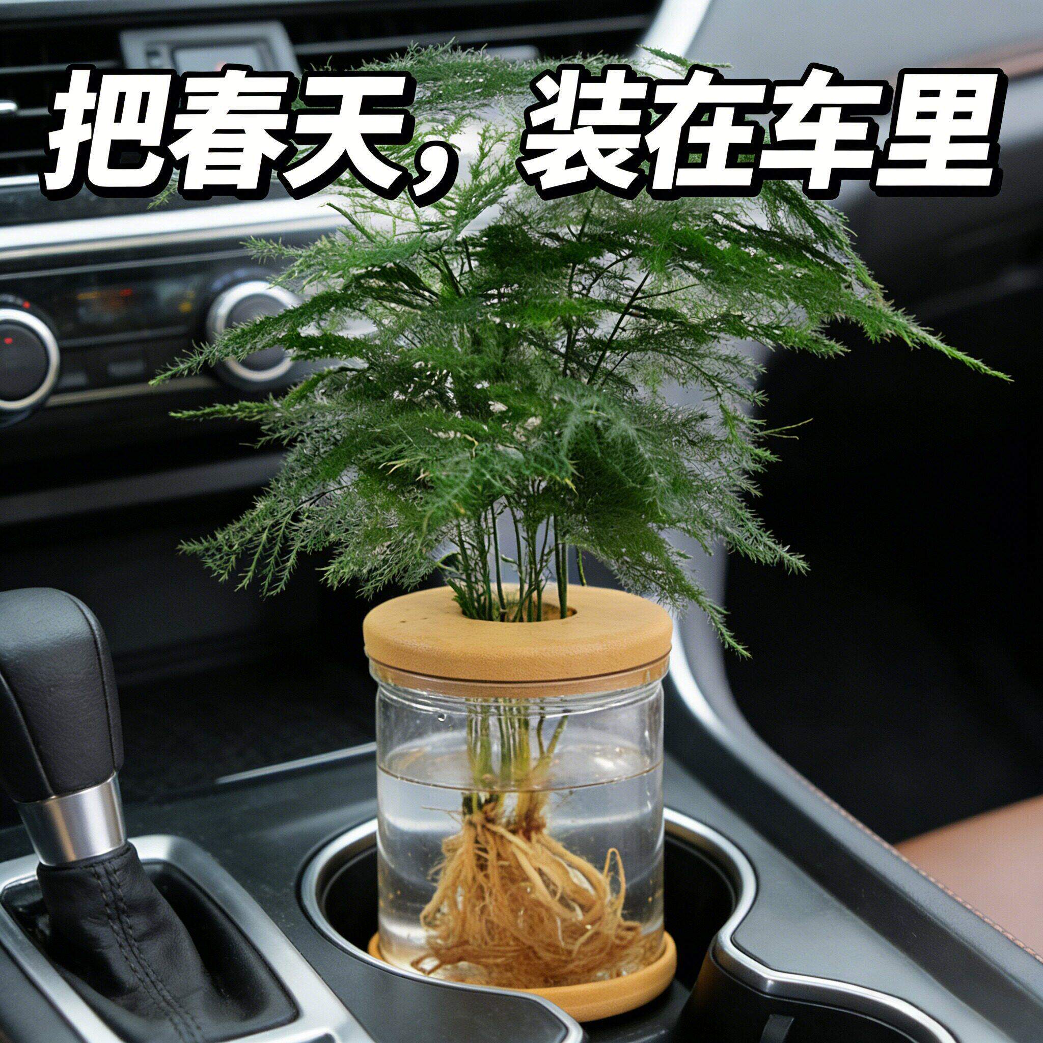 车载绿植水培植物盆栽绿萝栀子花办公室内花卉小绿植四季养多肉水