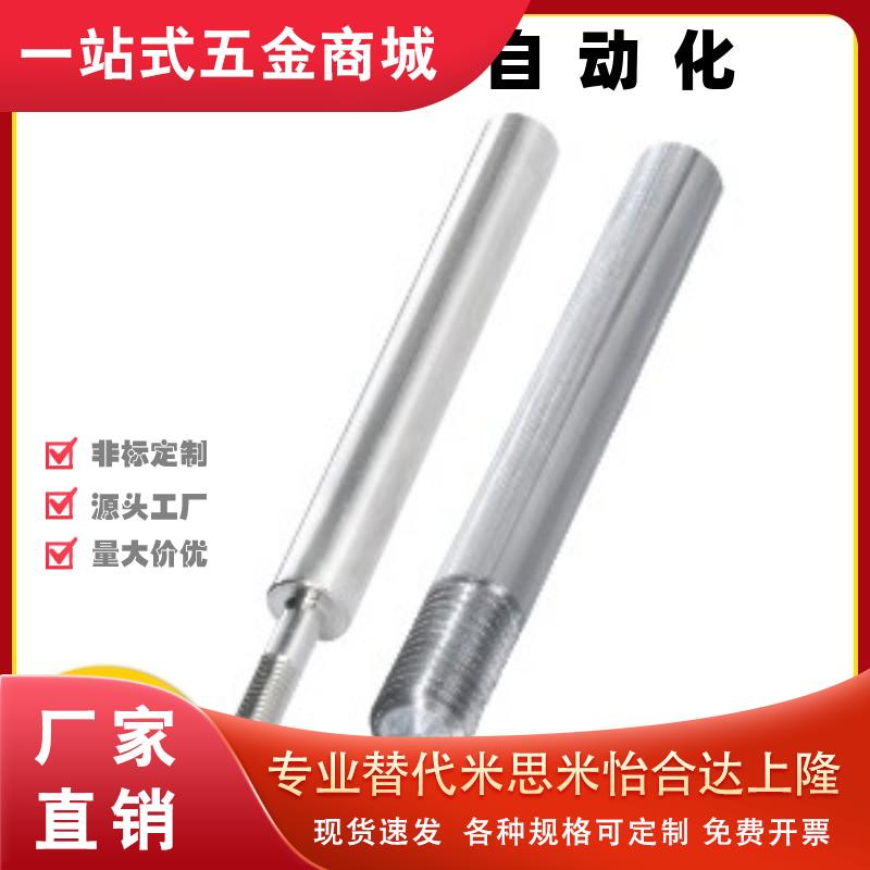 导向轴SED11/14/SEE11/14-D6D8D10D12D13D15D16D18D20D25D30D35-L