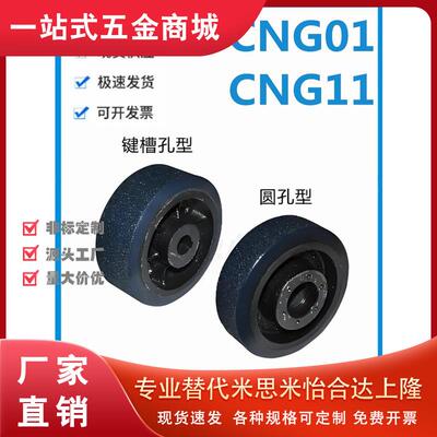 怡和达型 CNG01/11 AGV驱动轮 容许载荷250kg