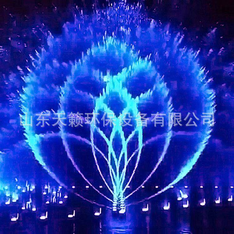 音乐喷泉设备湖面景观水景设计制作 不锈钢二维数码摇摆 喷泉喷头怎么样,好用不?