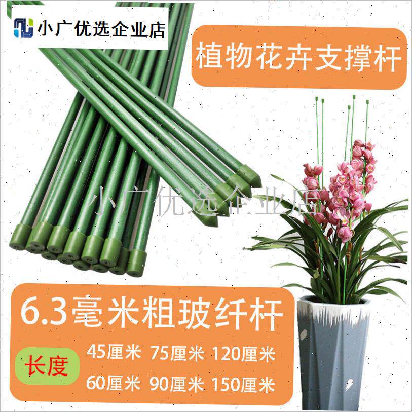 植物支架爬藤架花l架金钱树支撑杆月季玻纤棍子支柱架子辣椒固定\