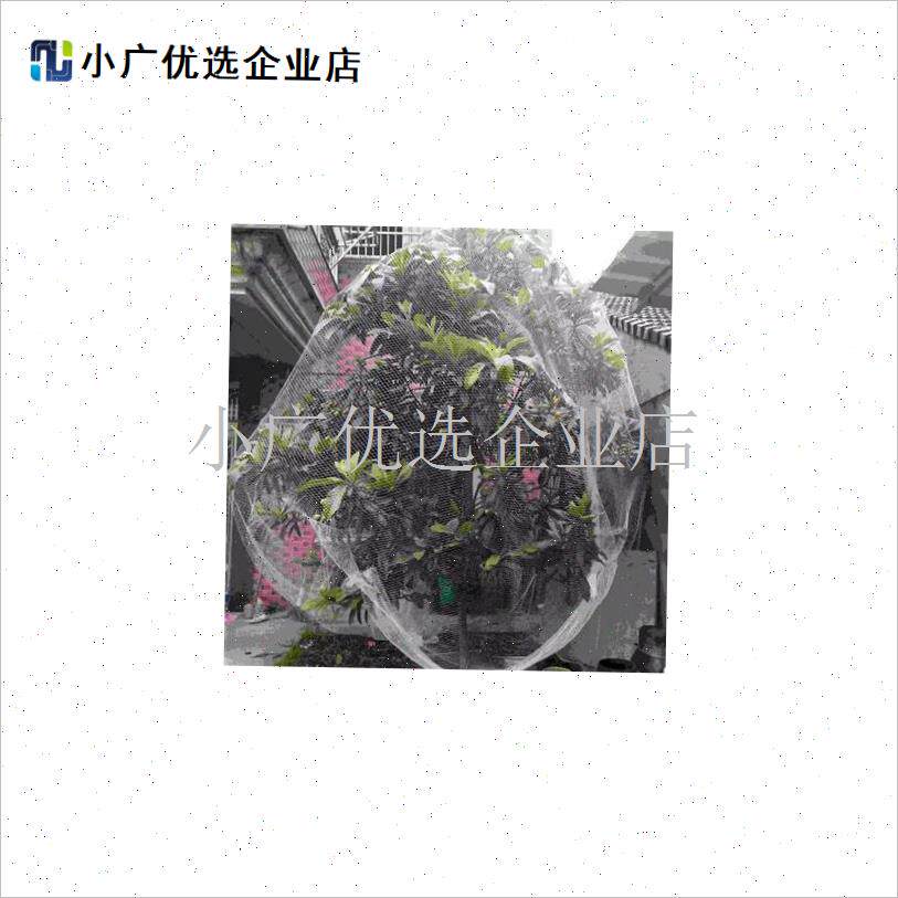 尼龙网嘉宝果树网罩树葡萄防鸟网防F鸟樱桃树网罩袋水果保护网\