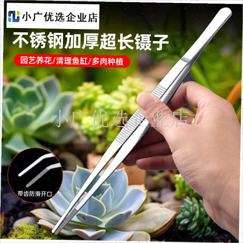 多肉工具套装专用植物园艺盆栽z修根嫁接刀多肉砍头新手种植铲土\