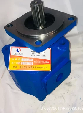 JHP系列2080-B1R钻机液压泵齿轮
