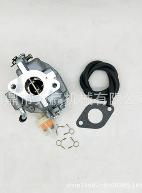 化油器适用于ONAN B48G P220G B48M 146-0414 146-0479 146-0496