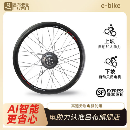 吕布云轮自行车电机电动轮组