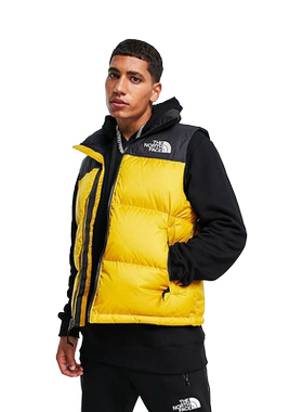 【清仓】TNF北面美版男款羽绒马甲DWR 700蓬 1996 RETRO NUPTSE