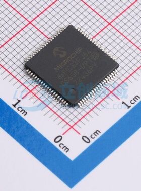 数字信号处理器(DSP/DSC) dsPIC33FJ64GS608-I/PT TQFP-80 MICROC