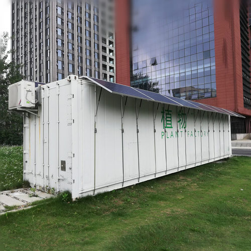 20GP40HQ集装箱植物工厂集装箱种苗蔬菜水培蔬菜植物生长箱种植箱