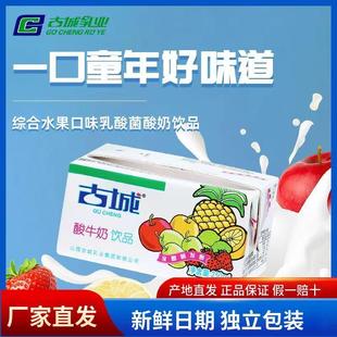 古城酸奶饮料山西特产乳酸菌酸牛奶发酵乳酸250ml 5盒方便速食