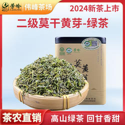 2024新茶明后高山绿茶雨前炒青莫干黄芽莫干山茶叶特产罐装50g