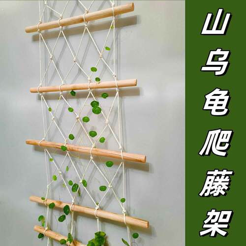 山乌龟爬藤架绿植物室内攀爬软网格牵引线彷麻绳木梯子装饰壁挂架