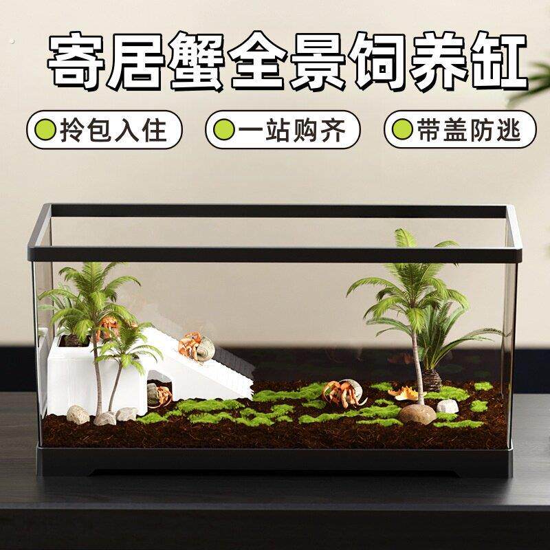 寄居蟹豪华别墅饲养盒子生态缸饲养箱套装爬宠造景新手套装专用缸