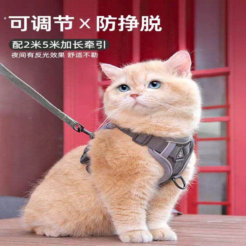 【猫咪牵引绳】防挣脱外出专用溜猫绳宠物抱婴袋可调节网红遛猫神