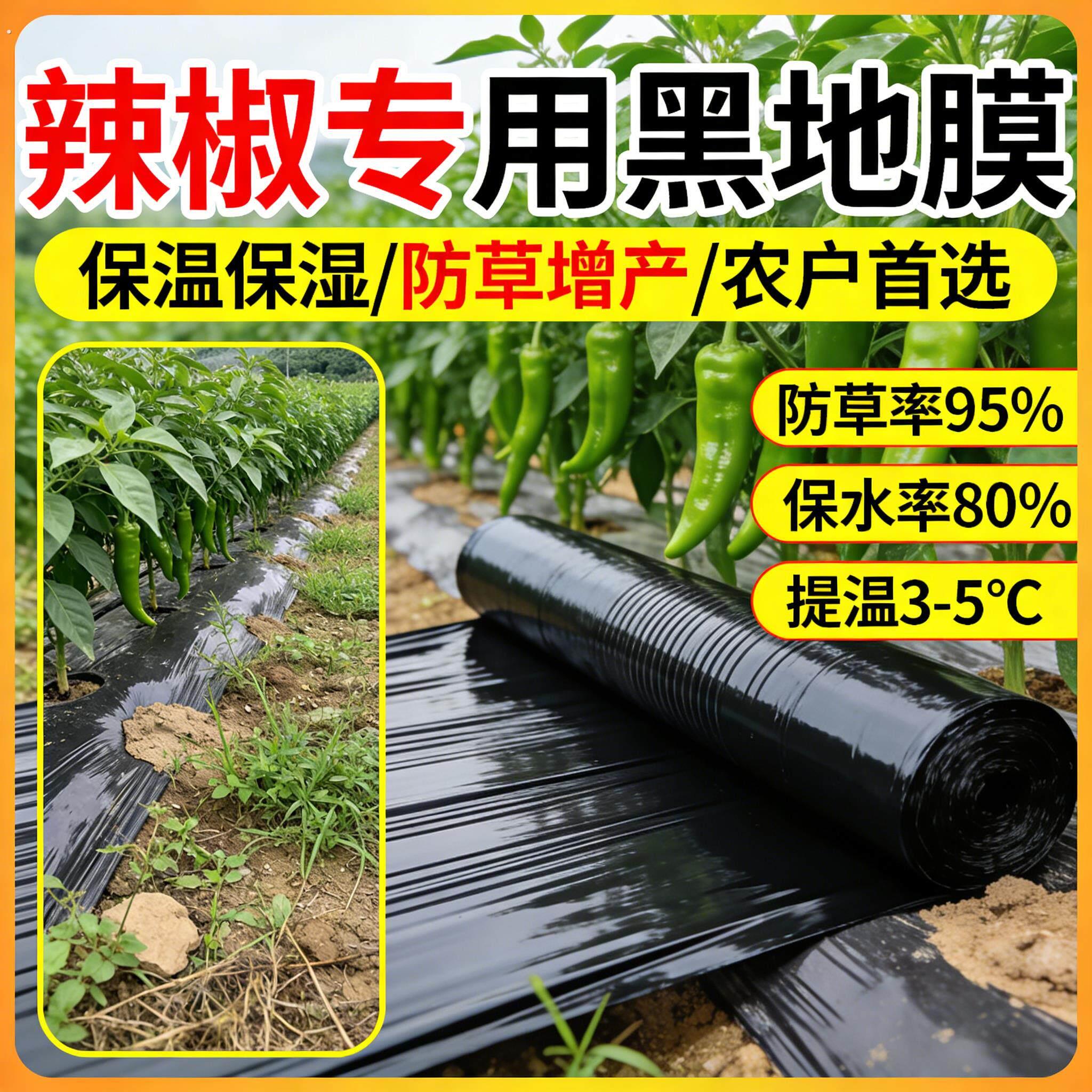 辣椒专用黑色地膜一次性黑膜盖菜防草布加厚塑料薄膜农用种植辣椒