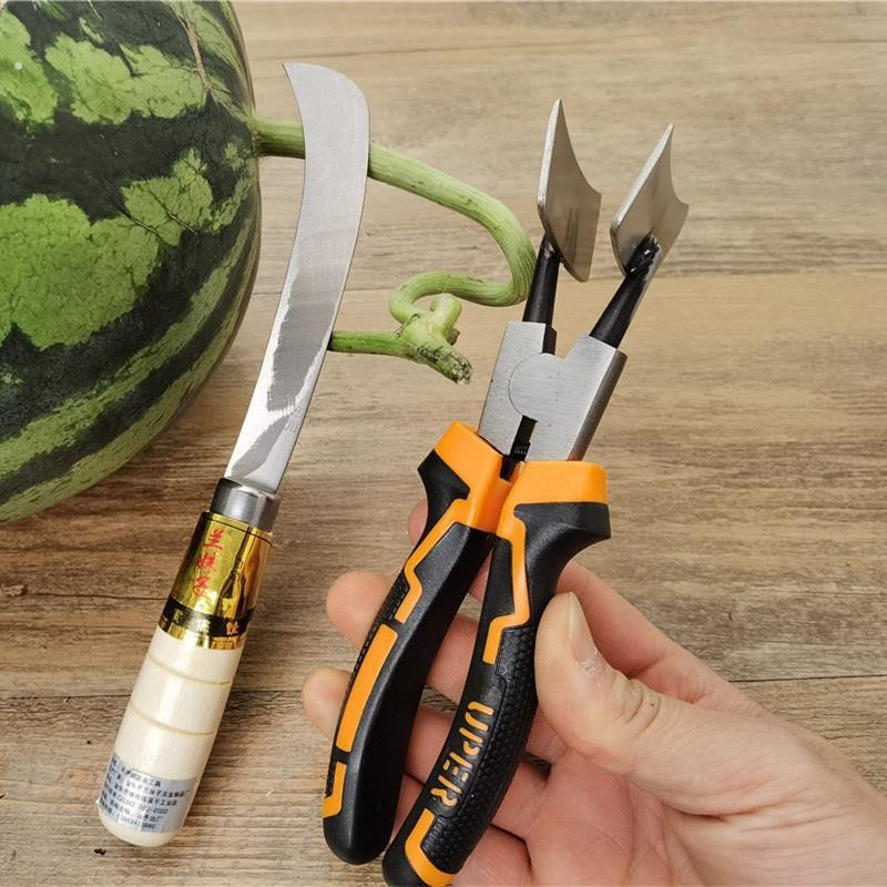 西瓜开 口器分割器开 瓜器切西瓜工具掰西瓜神器开 西瓜的夹子
