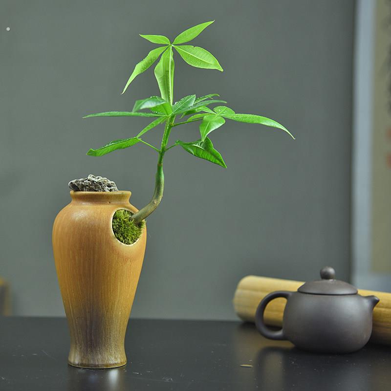 发财树小盆栽室内植物客厅懒人摆件绿植中式茶几摆件装饰盆景好养