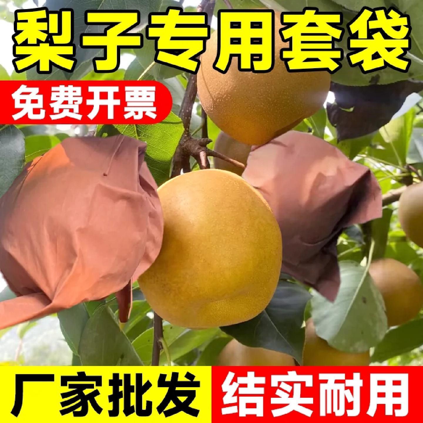桃子套袋专用袋黄桃袋桃子纸袋黄桃水蜜桃蟠桃纸袋防虫防雨水桃袋