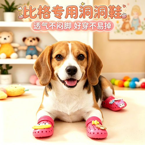 比格专用幼犬狗狗凉鞋小狗鞋子夏透气宠物狗鞋夏季洞洞鞋防水防掉