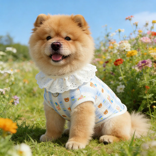 松狮犬专用狗狗衣服春装薄款宠物大型犬背心小狗春夏天季可牵引扣