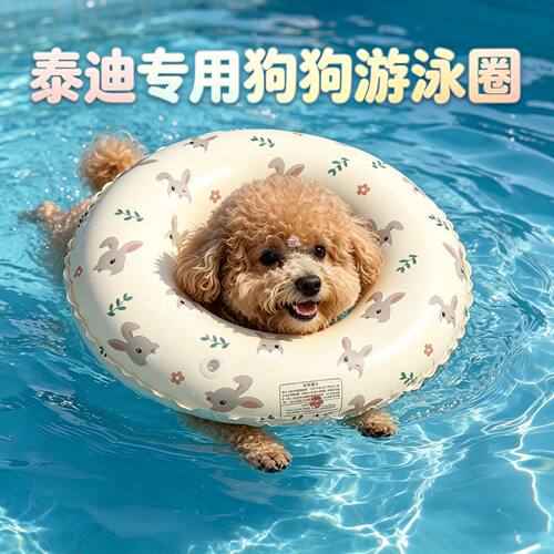 泰迪专用泳圈狗狗泳衣小狗宠物装备小型犬游泳圈狗降温水上浮力的