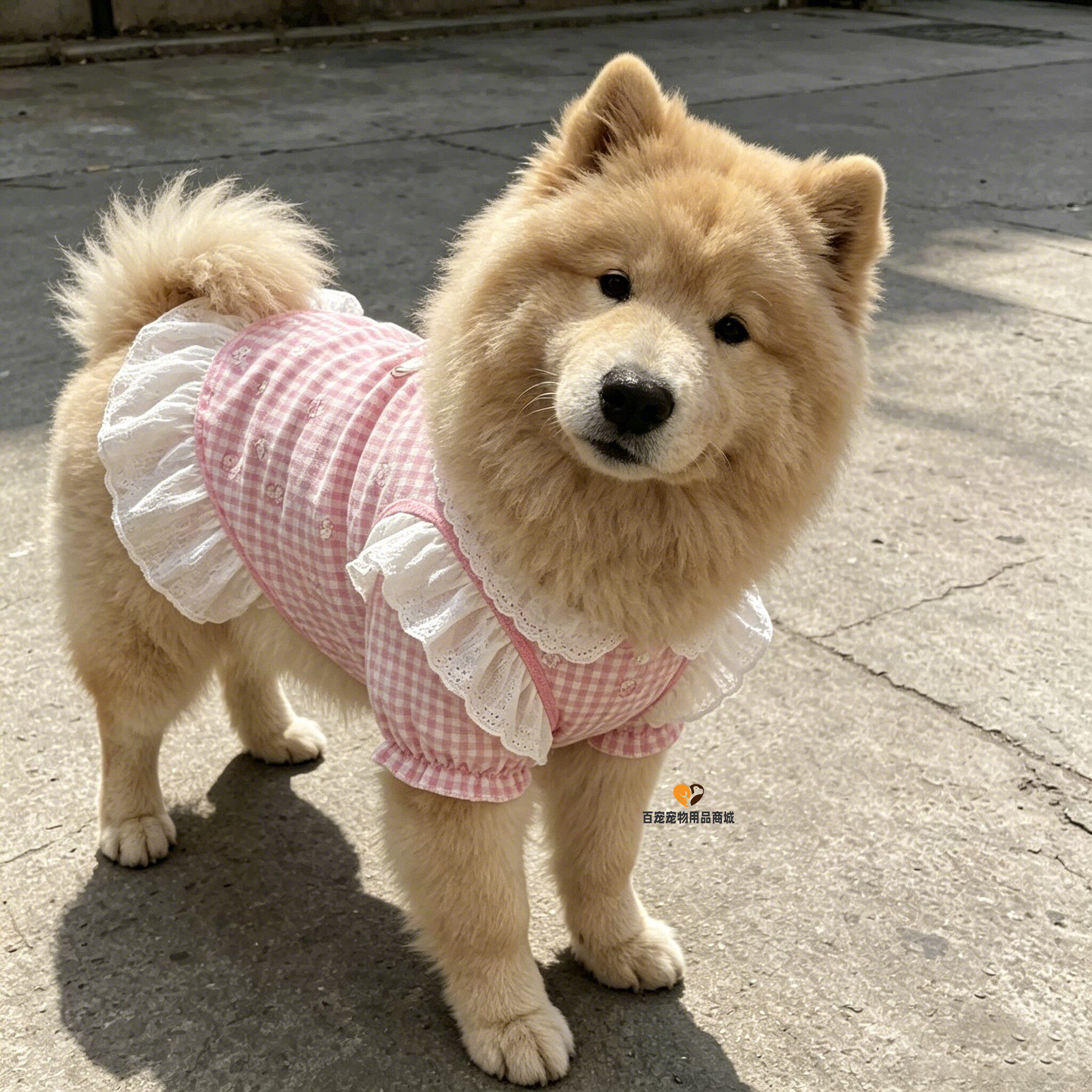 松狮专用狗狗衣服公主风裙子夏天夏季薄款宠物夏日外出背心中型犬
