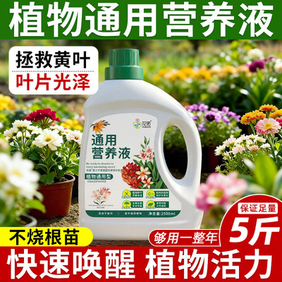 营养液植物通用型花肥家用盆栽发财树富贵竹绿萝多肉花卉绿植肥料