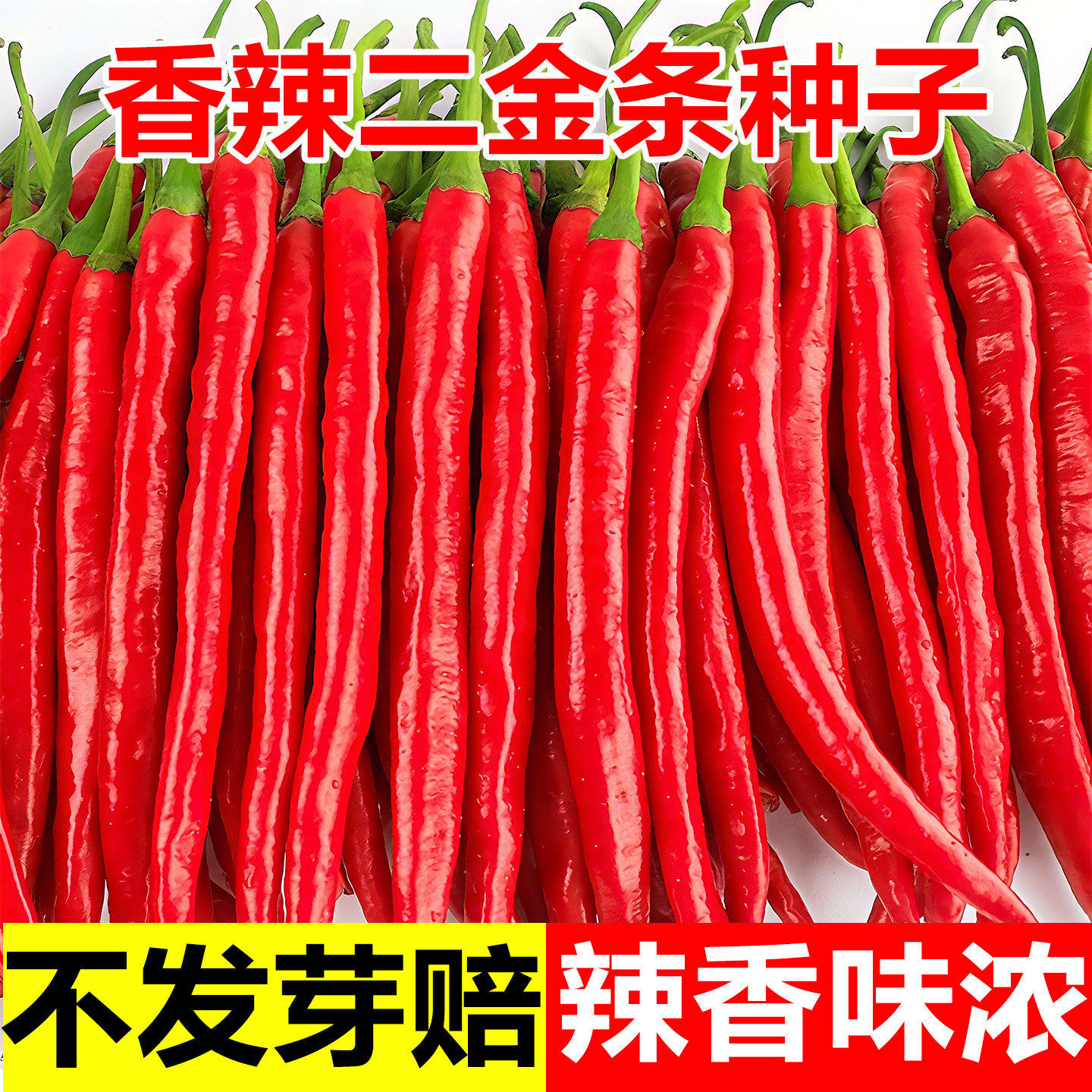 香辣二金条辣椒种子大金条长线椒二荆条四川海椒川辣妹种菜蔬菜籽