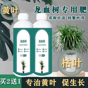 龙血树专用营养液肥料龙须树复合肥促生长治疗叶子发黄烂根通用肥