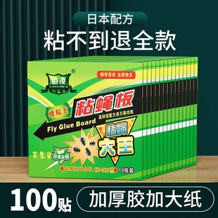 苍蝇贴强力粘蝇纸自带诱饵灭蚊蝇子克星家用饭店一扫光粘蝇板神器