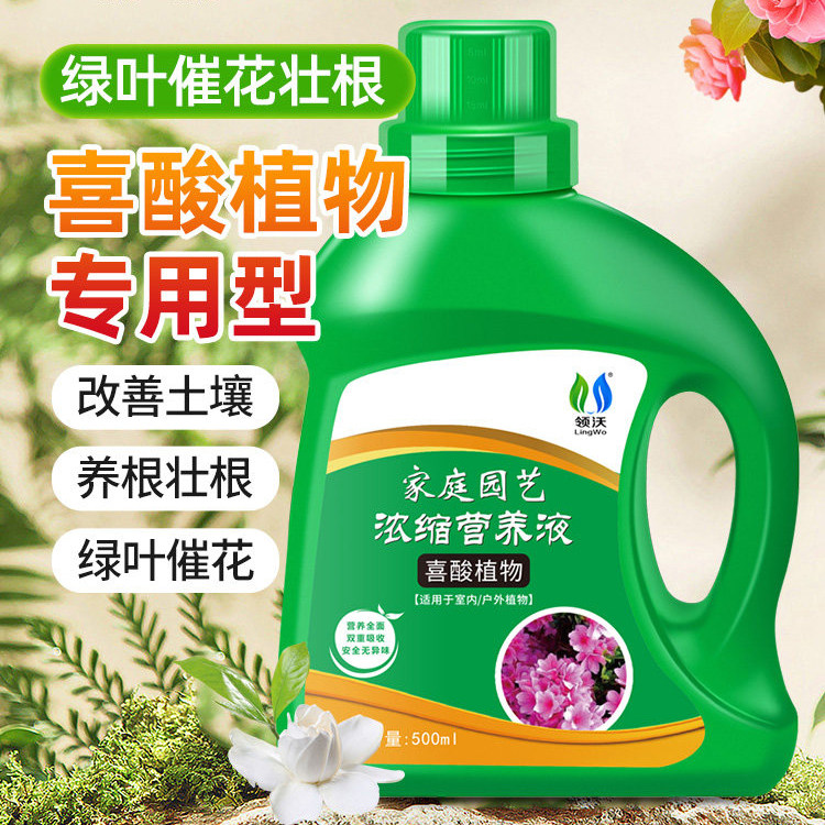 喜酸性植物营养液酸养之宝茶花肥料专用肥茉莉杜鹃盆栽硫酸亚铁肥