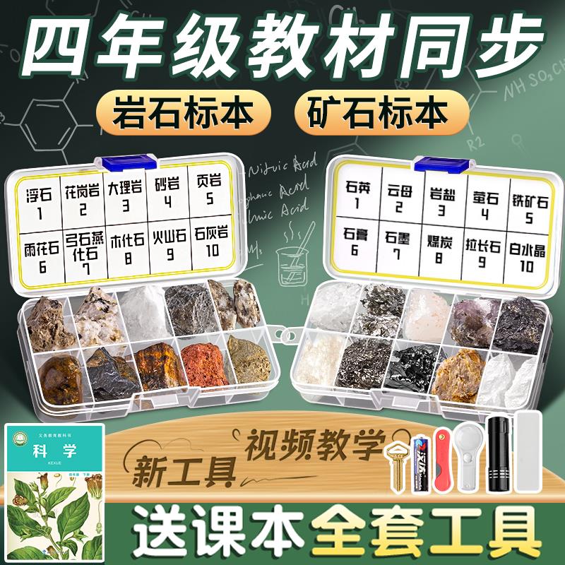 【老师推荐】四年级科学岩石标本